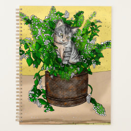 Gray Kitten in Eimer Catnip Planer