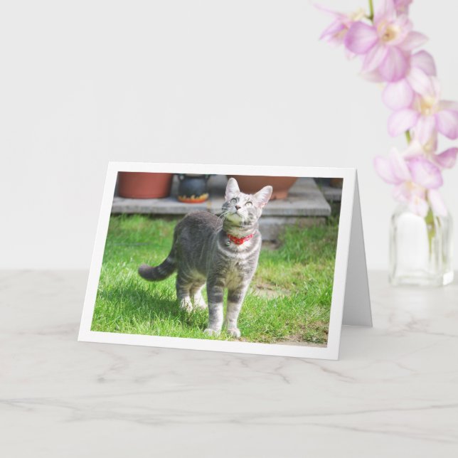 Gray Kitten in Garden Portrait Karte (Orchidee)