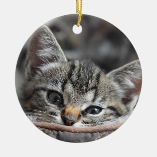 Gray Kitten Keramik Ornament (Vorne)