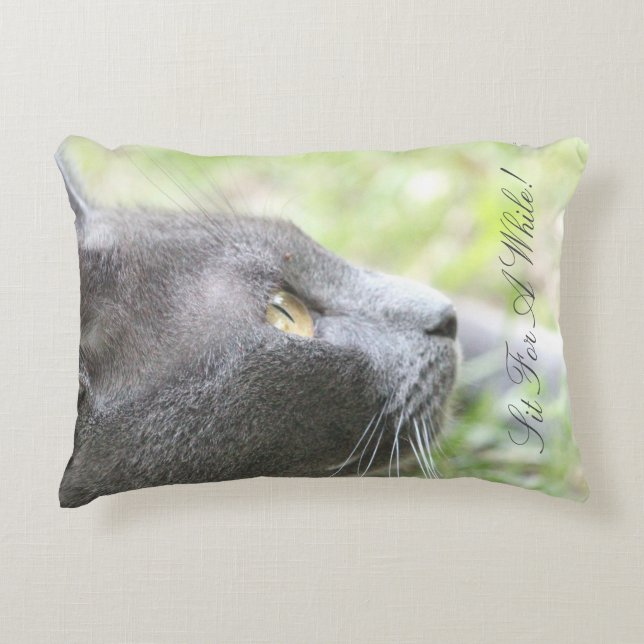 Gray Kitty Cat Dekokissen (Vorderseite)