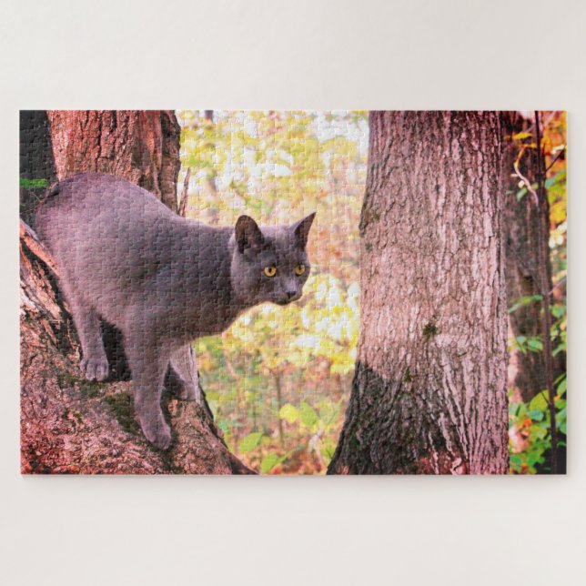 Gray Kitty Cat entworfen (Horizontal)