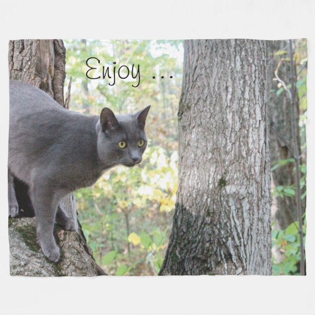 Gray Kitty Cat Fleecedecke (Vorderseite (Horizontal))