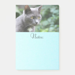 Gray Kitty Cat Post-it Klebezettel