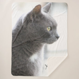 Gray Kitty Cat Sherpadecke