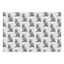 Gray Kitty Cats