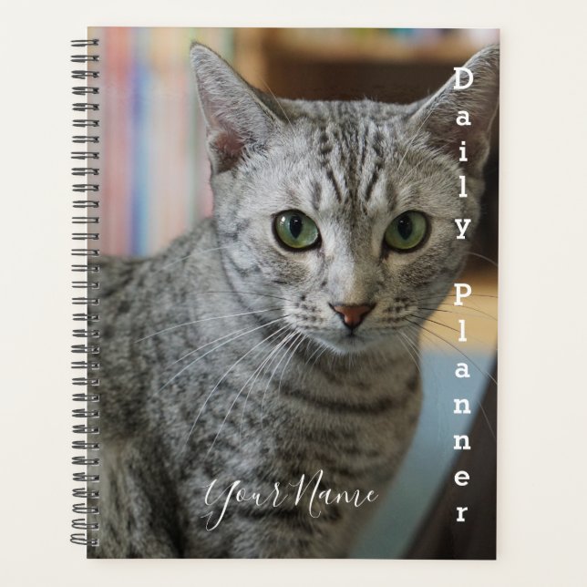 Gray Kitty - Daily Planner - HAMbWG Planer (Vorderseite)