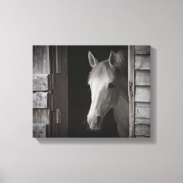 Gray Mare Horse B&W HORSES Wrapped Canvas Leinwanddruck (Vorderseite)