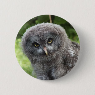 GRAY OWL BUTTON