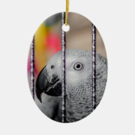 Gray Parrot Keramik Ornament