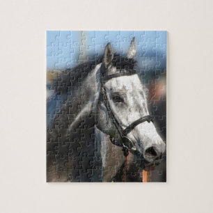Gray Race Racing Portrait , Sport-Foto