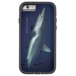 Gray Reef Shark in Yap Micronesia title_seo2