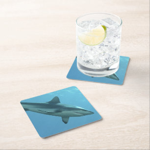 Gray Reefshark am Korallenriff von Yap Island   Untersetzer