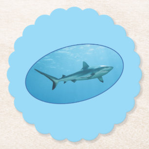 Gray Reefshark, Yap Island - fotografisches Design Untersetzer