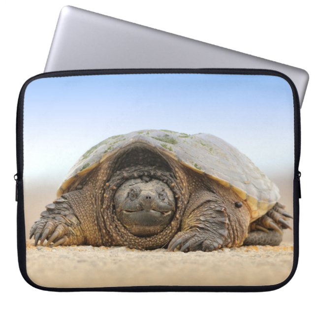GRAY SAND TURTLE LAPTOPSCHUTZHÜLLE (Vorderseite)