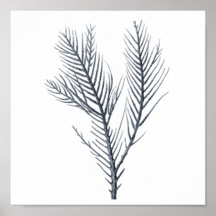 Gray Sea coral Wandbild # 9 Stranddekor Poster