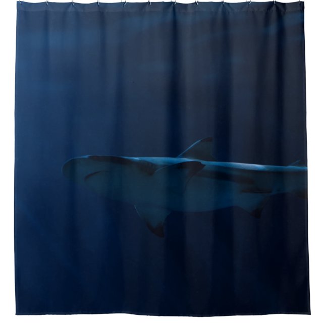 GRAY SHARK IN BODY OF WATER DUSCHVORHANG (Vorderseite)