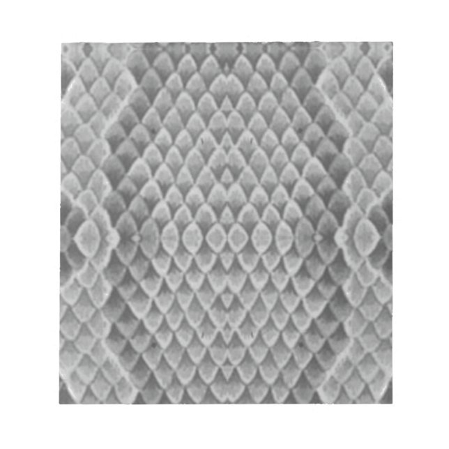 Gray Snakeskin Notizblock (Vorderseite)