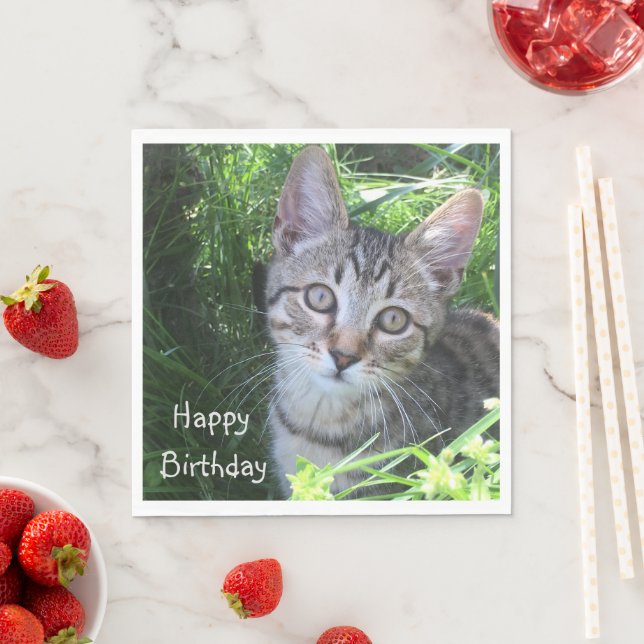 Gray Tabby Cat Birthday Serviette (Beispiel)