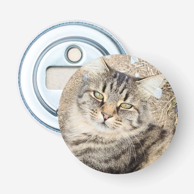 Gray Tabby Cat Flasche Opener Flaschenöffner (Vorderseite)