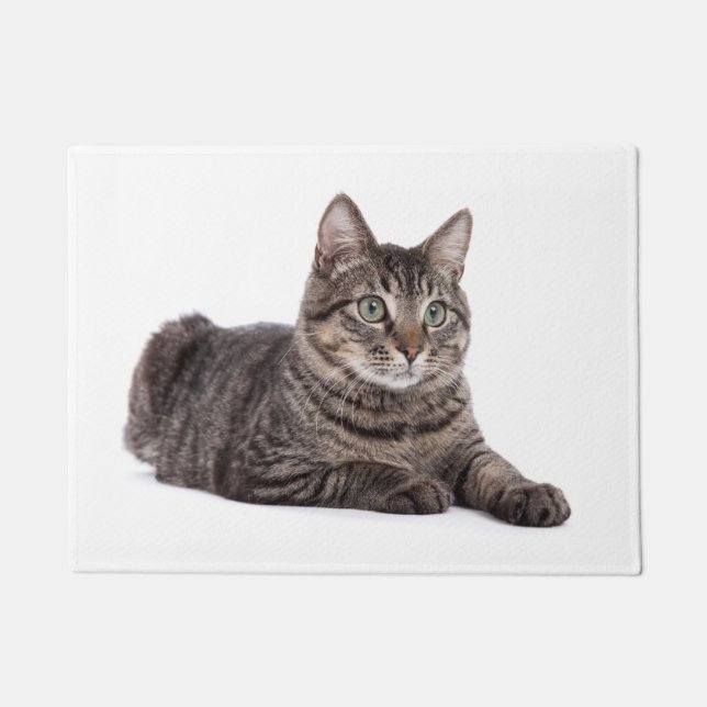 Gray Tabby Cat Fußmatte (Vorderseite)