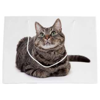 Gray Tabby Cat Große Geschenktüte
