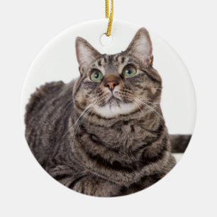 Gray Tabby Cat Keramik Ornament