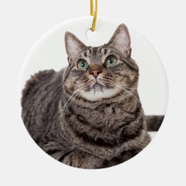 Gray Tabby Cat Keramik Ornament (Vorne)
