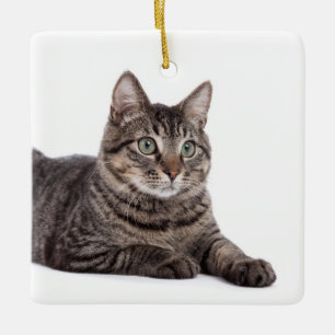 Gray Tabby Cat Keramikornament