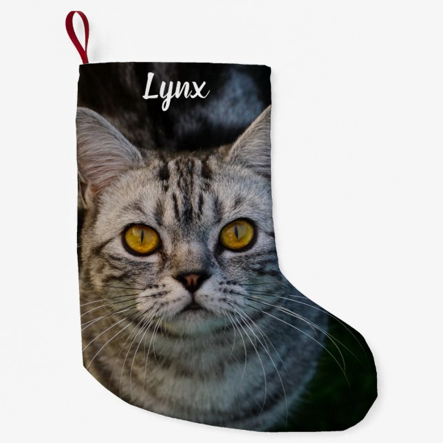Gray Tabby Cat Metal Kleiner Weihnachtsstrumpf (Vorderseite)