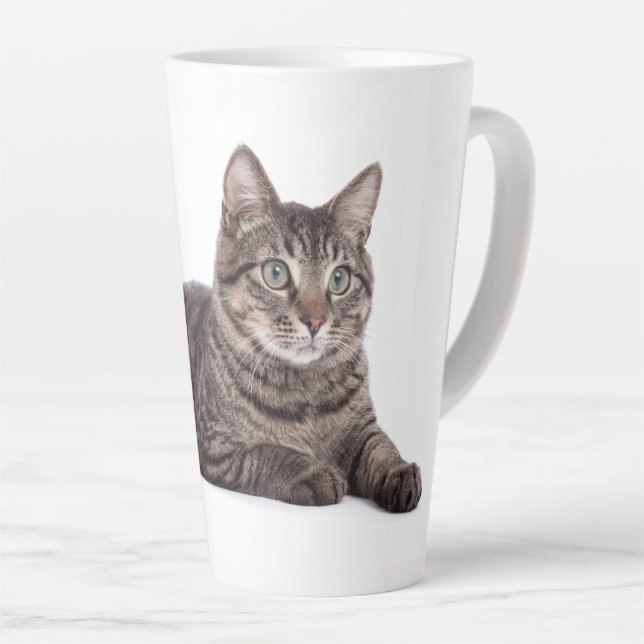 Gray Tabby Cat Milchtasse (Rechte Ecke)