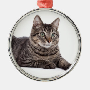 Gray Tabby Cat Ornament Aus Metall