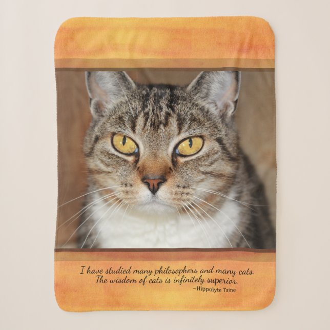 Gray Tabby Cat Sherpadecke (Vorderseite)