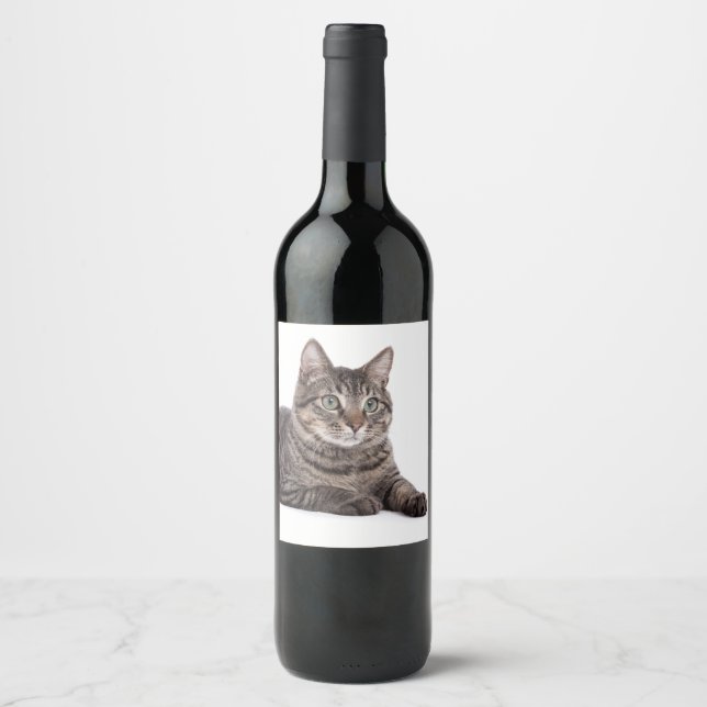 Gray Tabby Cat Weinetikett (Vorderseite)