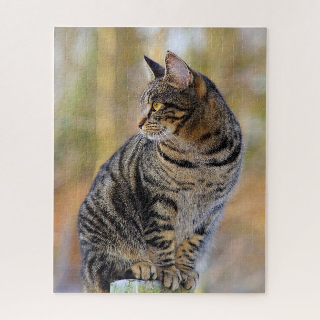 Gray Tabby Jigsaw Puzzle (Vertikal)