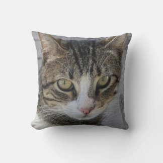 Gray Tiger Cat Picture,Lover der schönen seltenen  Kissen