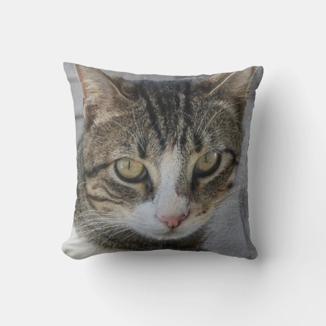 Gray Tiger Cat Picture,Lover der schönen seltenen  Kissen (Vorderseite)