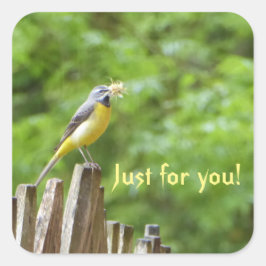 Gray Wagtail Quadratischer Aufkleber