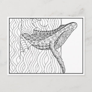 Gray Whale Postcard Postkarte