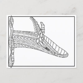 Gray Whale Postcard Postkarte