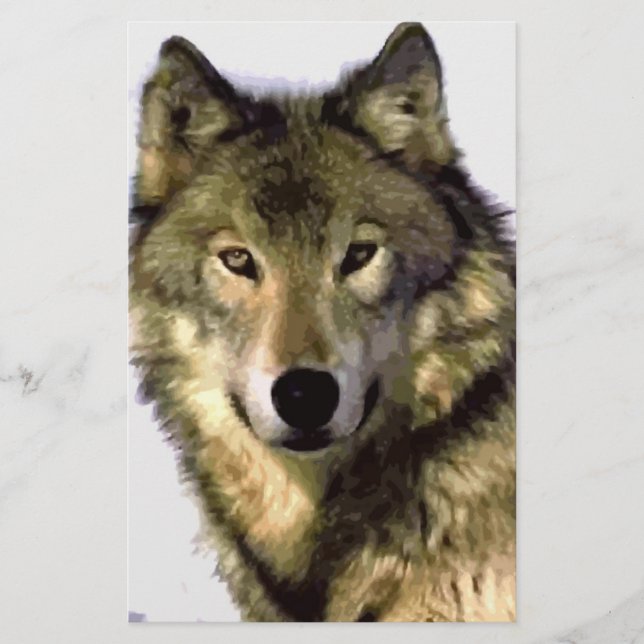 Gray Wolf (Vorderseite)