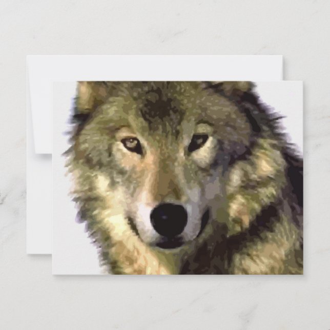 Gray Wolf (Vorderseite)