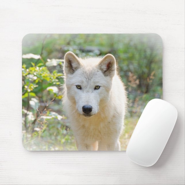 Gray Wolf, Calm Canine Mousepad (Mit Mouse)