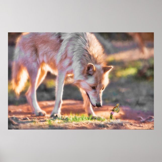 GRAY WOLF COLORFUL ENCOUNTER POSTER (Vorne)