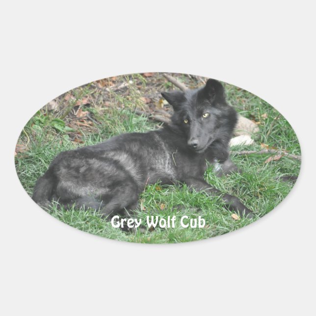 GRAY WOLF CUB Stickers de soutien à la faune (Devant)