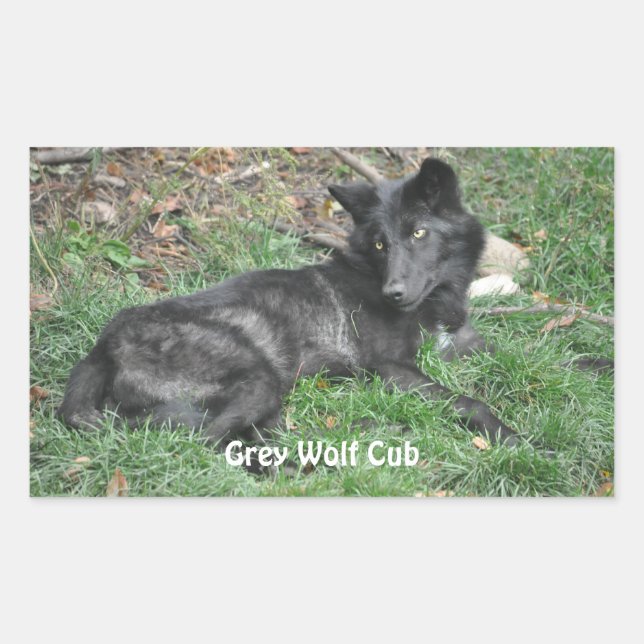 GRAY WOLF CUB Stickers de soutien à la faune (Devant)