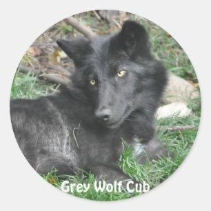 GRAY WOLF CUB Stickers de soutien à la faune
