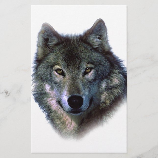 Gray Wolf Eyes Briefpapier (Vorderseite)