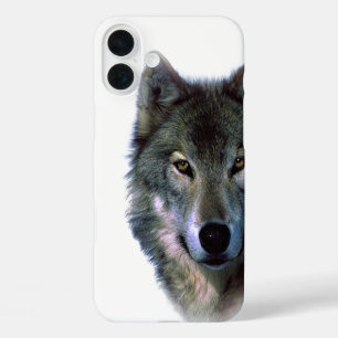 Gray Wolf Eyes iPhone 16 Plus Hülle