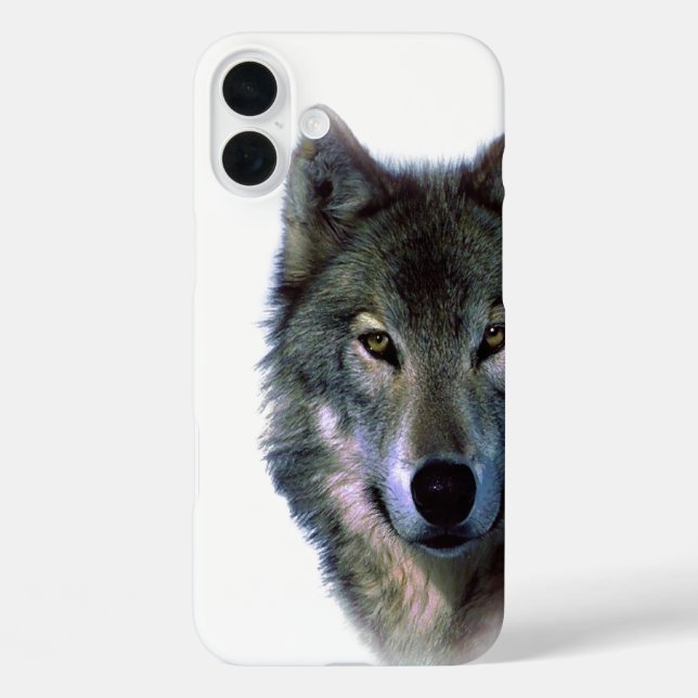 Gray Wolf Eyes iPhone 16 Plus Hülle (Rückseite)