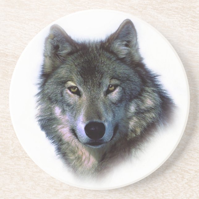 Gray Wolf Eyes Sandstein Untersetzer (Vorne)